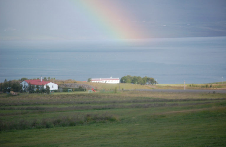 Goodyear: Is he really my true Valentine? Love and PTSD.