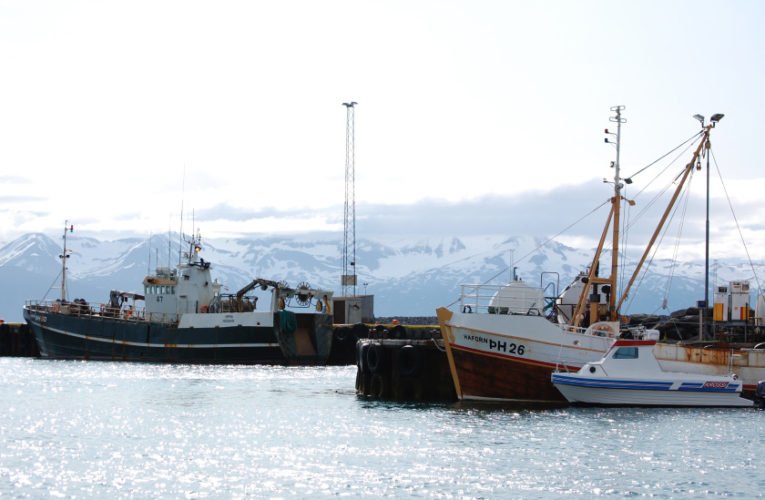 Goodyear: Woman/wife/mother: PTSD + suicidal thoughts