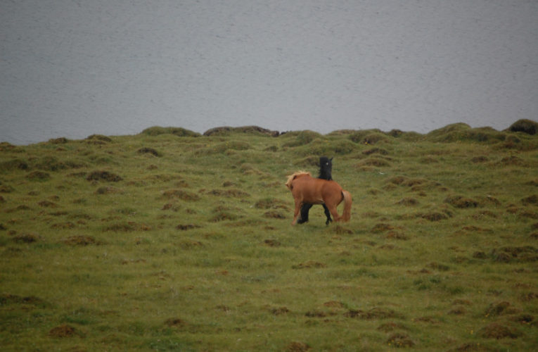 Goodyear: The Battle for Harmony When Living With PTSD