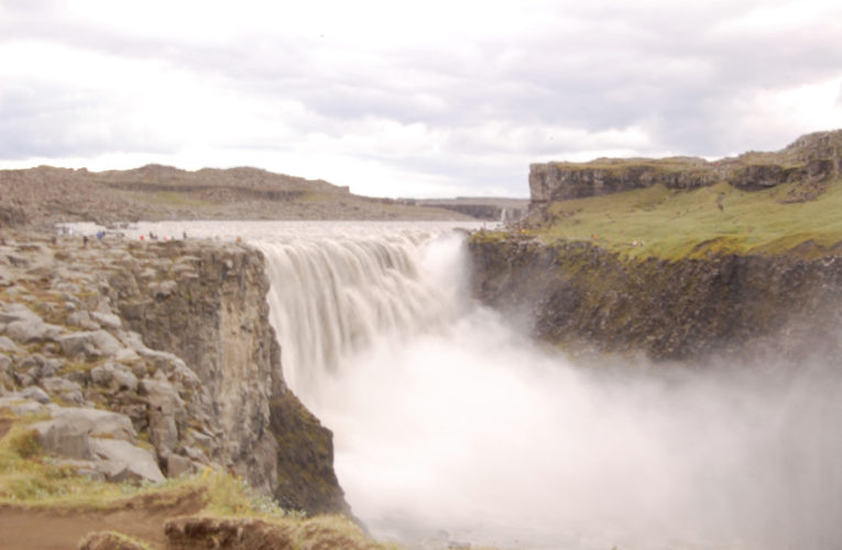 Goodyear: Help! I’m a lost little amoeba in this big PTSD ecosystem